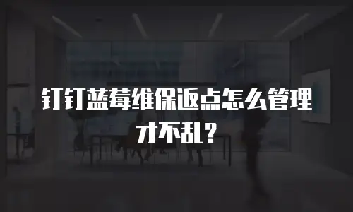 钉钉蓝莓维保返点怎么管理才不乱？