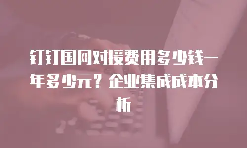 钉钉国网对接费用多少钱一年多少元？企业集成成本分析