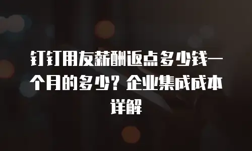 钉钉用友薪酬返点多少钱一个月的多少？企业集成成本详解