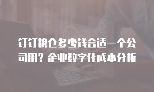钉钉粮仓多少钱合适一个公司用？企业数字化成本分析