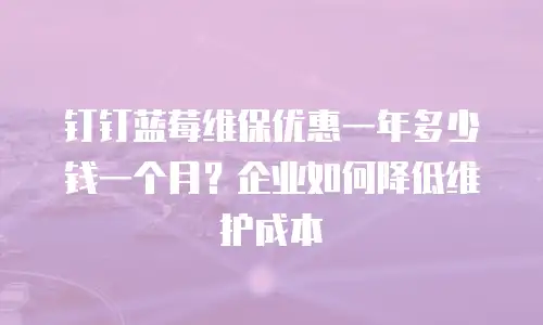钉钉蓝莓维保优惠一年多少钱一个月？企业如何降低维护成本
