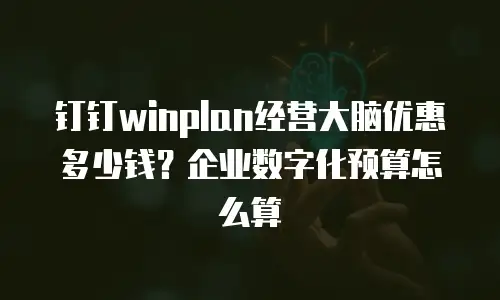 钉钉winplan经营大脑优惠多少钱？企业数字化预算怎么算