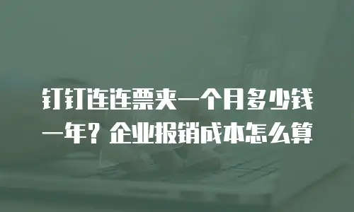 钉钉连连票夹一个月多少钱一年？企业报销成本怎么算