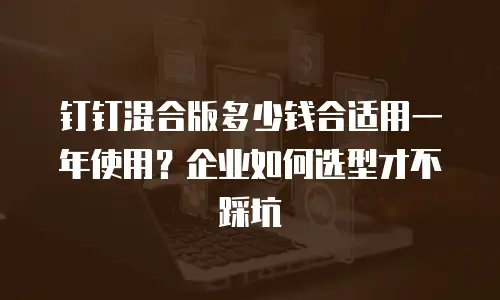 钉钉混合版多少钱合适用一年使用？企业如何选型才不踩坑
