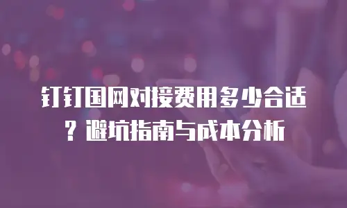 钉钉国网对接费用多少合适？避坑指南与成本分析