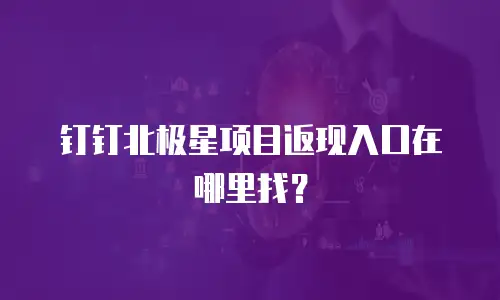 钉钉北极星项目返现入口在哪里找？