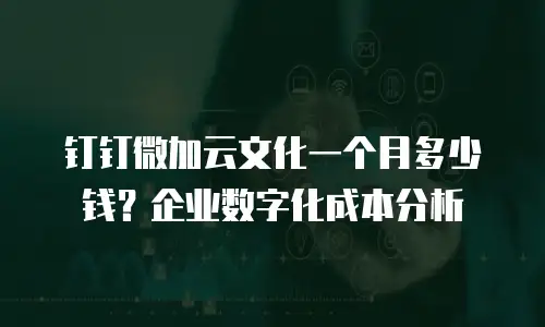 钉钉微加云文化一个月多少钱？企业数字化成本分析