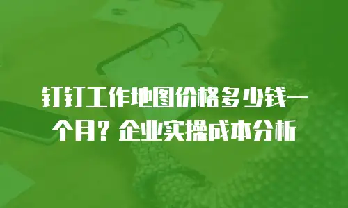 钉钉工作地图价格多少钱一个月？企业实操成本分析