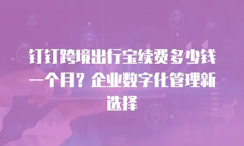 钉钉跨境出行宝续费多少钱一个月？企业数字化管理新选择