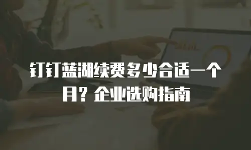 钉钉蓝湖续费多少合适一个月？企业选购指南