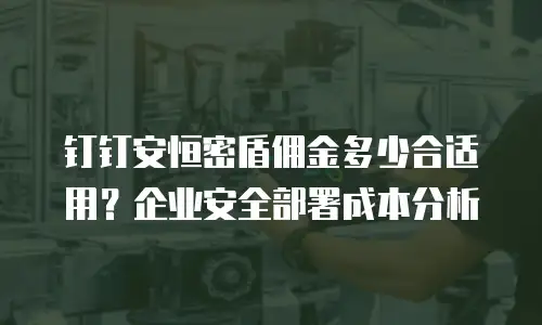钉钉安恒密盾佣金多少合适用？企业安全部署成本分析