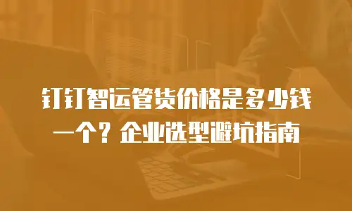 钉钉智运管货价格是多少钱一个？企业选型避坑指南