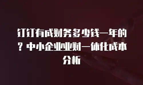 钉钉有成财务多少钱一年的？中小企业业财一体化成本分析