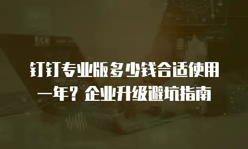 钉钉专业版多少钱合适使用一年？企业升级避坑指南