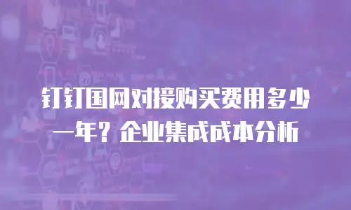 钉钉国网对接购买费用多少一年？企业集成成本分析