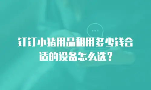 钉钉小猪用品租用多少钱合适的设备怎么选？