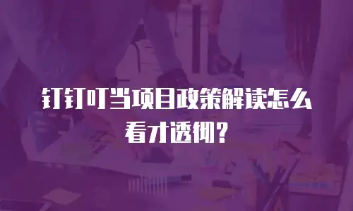钉钉叮当项目政策解读怎么看才透彻？