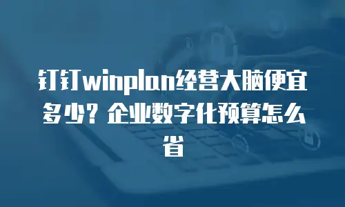 钉钉winplan经营大脑便宜多少？企业数字化预算怎么省