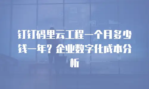 钉钉码里云工程一个月多少钱一年？企业数字化成本分析