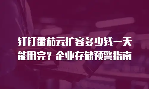 钉钉番茄云扩容多少钱一天能用完？企业存储预警指南