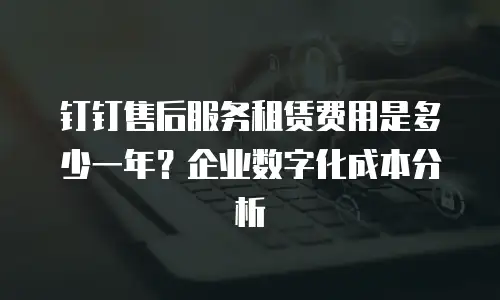 钉钉售后服务租赁费用是多少一年？企业数字化成本分析
