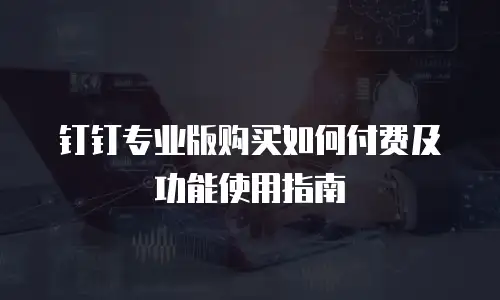 钉钉专业版购买如何付费及功能使用指南