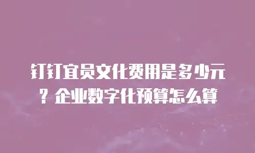 钉钉宜员文化费用是多少元？企业数字化预算怎么算