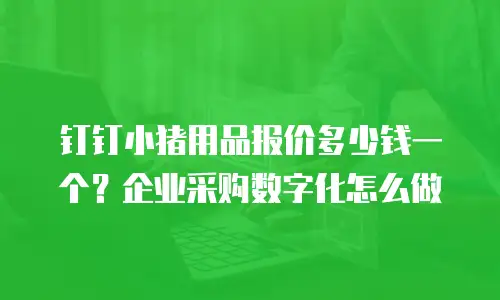 钉钉小猪用品报价多少钱一个？企业采购数字化怎么做