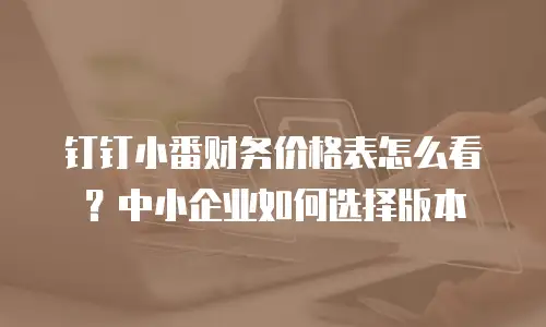 钉钉小番财务价格表怎么看？中小企业如何选择版本