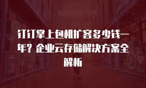 钉钉掌上包机扩容多少钱一年？企业云存储解决方案全解析