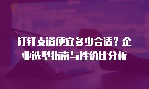 钉钉支道便宜多少合适？企业选型指南与性价比分析
