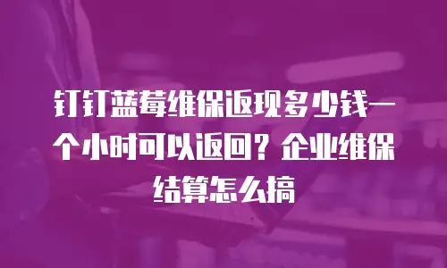 钉钉蓝莓维保返现多少钱一个小时可以返回？企业维保结算怎么搞