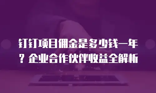 钉钉项目佣金是多少钱一年？企业合作伙伴收益全解析