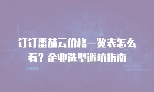 钉钉番茄云价格一览表怎么看？企业选型避坑指南