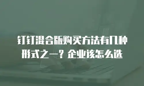 钉钉混合版购买方法有几种形式之一？企业该怎么选