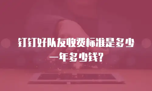 钉钉好队友收费标准是多少一年多少钱？