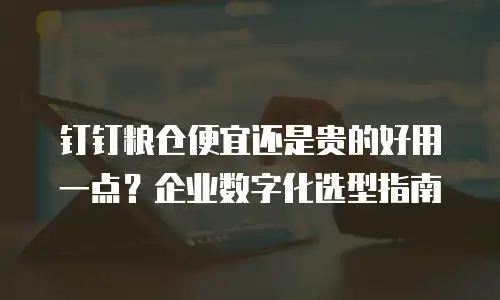 钉钉粮仓便宜还是贵的好用一点？企业数字化选型指南