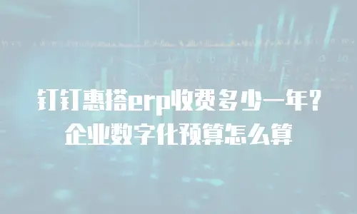 钉钉惠搭erp收费多少一年？企业数字化预算怎么算