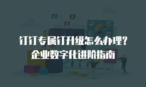 钉钉专属钉升级怎么办理？企业数字化进阶指南