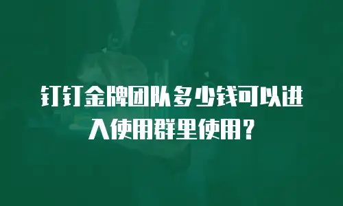 钉钉金牌团队多少钱可以进入使用群里使用？