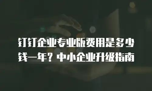 钉钉企业专业版费用是多少钱一年？中小企业升级指南