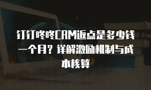 钉钉咚咚CRM返点是多少钱一个月？详解激励机制与成本核算