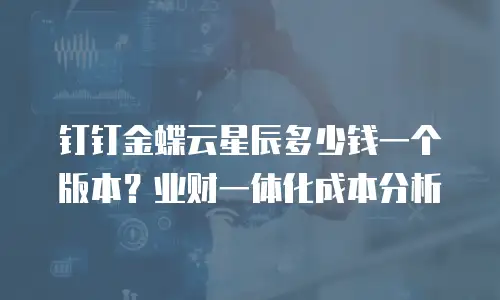 钉钉金蝶云星辰多少钱一个版本？业财一体化成本分析