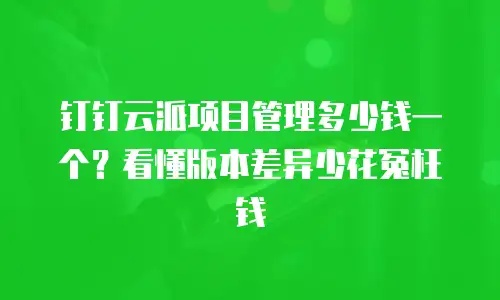 钉钉云派项目管理多少钱一个？看懂版本差异少花冤枉钱