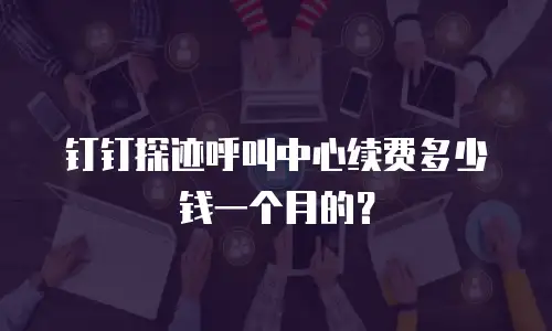 钉钉探迹呼叫中心续费多少钱一个月的？