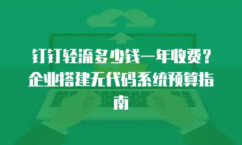 钉钉轻流多少钱一年收费？企业搭建无代码系统预算指南