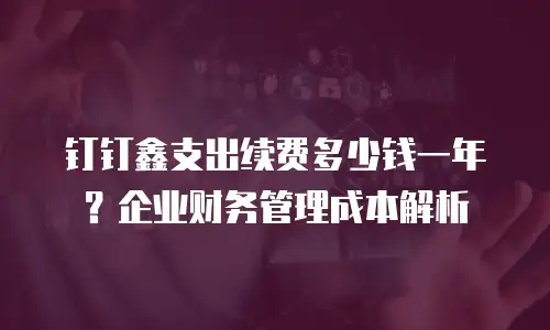 钉钉鑫支出续费多少钱一年？企业财务管理成本解析