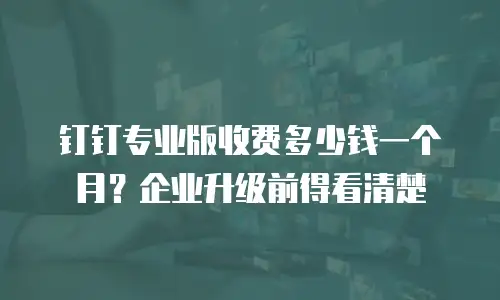钉钉专业版收费多少钱一个月？企业升级前得看清楚