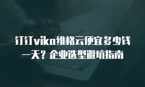钉钉vika维格云便宜多少钱一天？企业选型避坑指南