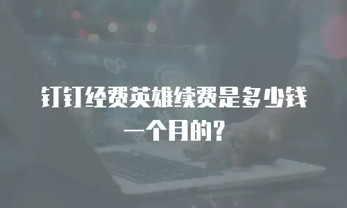 钉钉经费英雄续费是多少钱一个月的？